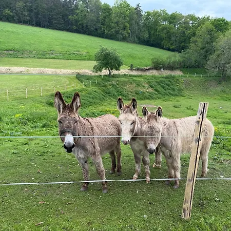 De Charme Avec Piscine 4 *