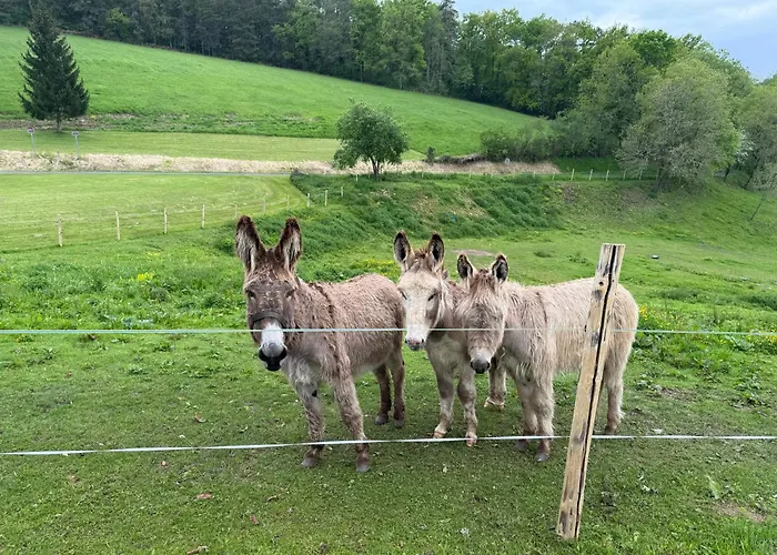 De Charme Avec Piscine 4 *